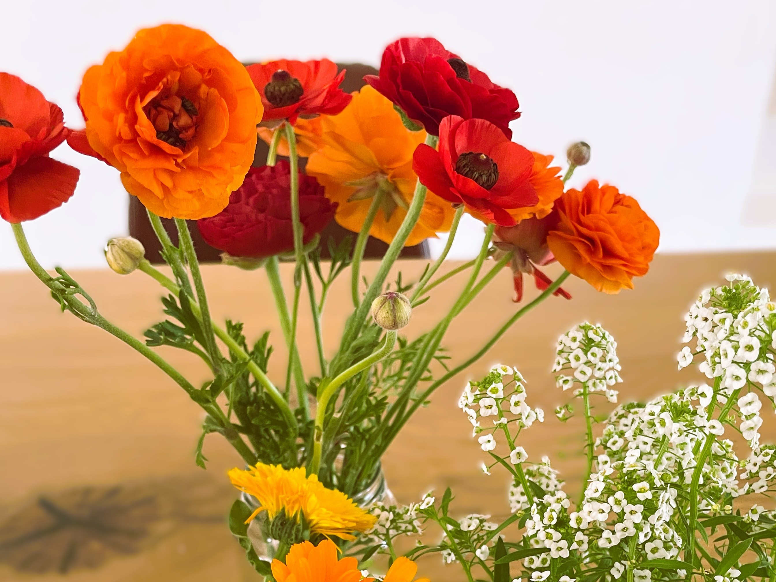 Ranunculus beautiful cut flowers from garden