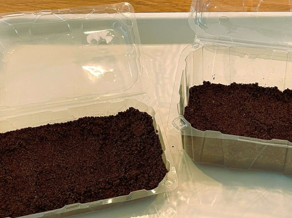Trays and soil needed for growing microgreens at home