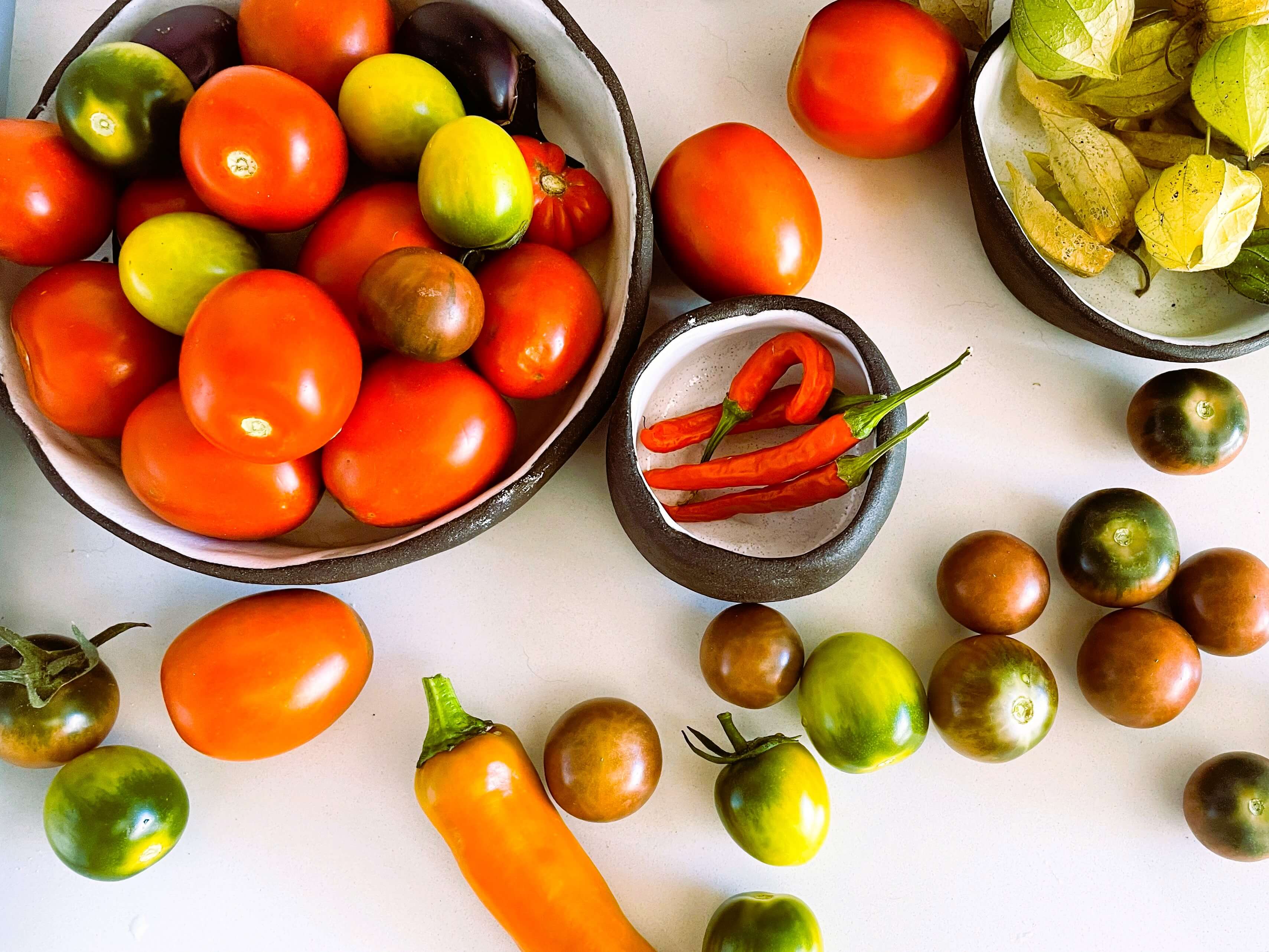 Colorful Tomato harvest cherry, slicing and paste tomatoes
