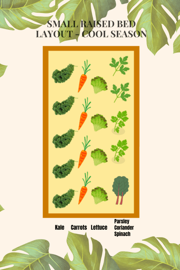 Cool season design layout for small garden bed, ideal for companion planting