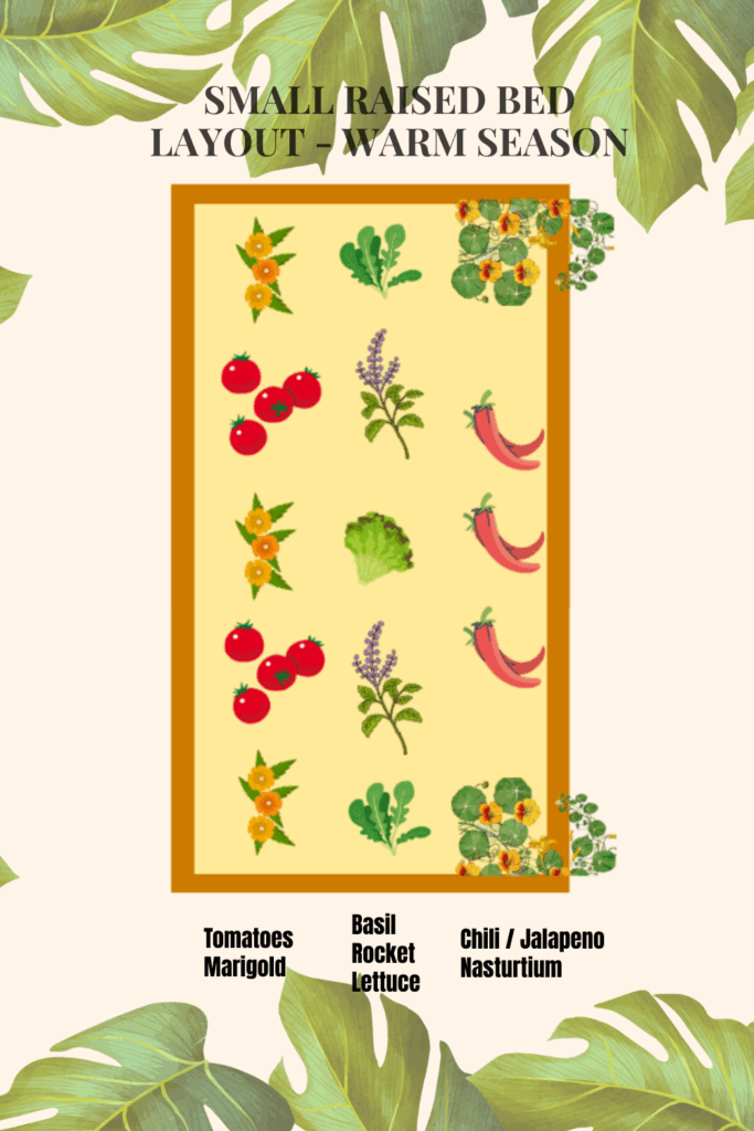 Small garden bed design idea for warm season ideal for companion planting in small space